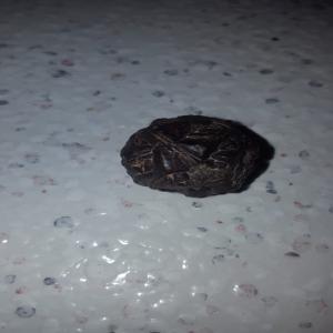  Meteorite - pierre roche je met en vente une meteorite trouvé au sud du maroc pour plus de informations contactez moi 