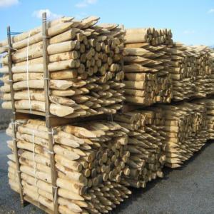  Cherche Piquets Acacia En 2m - bois charbon fibre société de clôture recherche fournisseur de piquets d'acacia en 2m et 2m 50,  diamètre minimal de 10-12cm. par camion entier. -- 