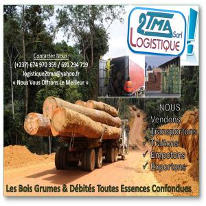  Ventes Du Bois Au Cameroun - bois charbon fibre passez nous vos commandes de bois tali / teck / sipo /doussie /padoux /assamela / sapelli / iroko  /moabi ......et bien d'autres. en plus des autorisations réglementaires 2tma logistique sarl dispose  d'un agrément de traitement phytosanitaire; et des moyens pour la mise à fob d