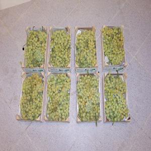  Vous Chergez Un Fournisseurs Des Fruit/légumes - fruits et légumes nous sommes soci&eacute;t&eacute; de conditionnement et  export des fruits et l&eacute;gumes et herbes aromatiques frais implant&eacute;es au maroc, nous exportons des produits comme les poivrons , piment fort , haricot ,  oignon...., grenade, past&egrave;que,  ....,  coriandre,  menthe ,  aneth  ... dans des