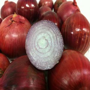  Grossiste Des Fruits Et Légumes - fruits et légumes nous sommes une société de conditionnement et d' export des fruits et légumes et herbes aromatiques frais implantées au maroc, nous exportons des produits comme les poivrons , piment fort , haricot ,  oignon...., grenade, pastèque,  ....,  coriandre,  menthe ,  aneth  ... da
