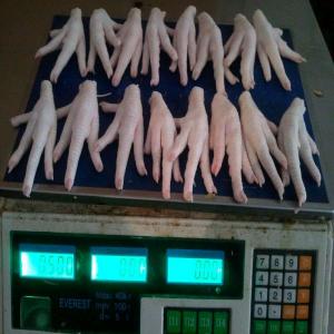  Chicken Paws Legs Wings - meat and eggs we supply with chicken paws legs,  wings and whole chicken from egypt origin. we're not able to do cif china mainland for now. please contact us directly for your requirements. --buyer is allow to visit plant after signing contract we are direct to supplier. thank you 