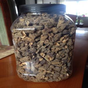  Verpes De Boheme Sans Queue (morillons) - champignon levure importateur de verpes de boh&egrave;me sauvages,  sans queue (de type verpa bohemica,  encore appel&eacute; morillons),  avec tr&egrave;s peu de sable et s&eacute;ch&eacute;es au soleil. super go&ucirc;t. produit qualitatif. sans traitement,  fort ar&ocirc;me forestier. recherche client pour partenariat