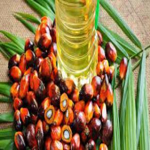  Huiles Végétales Et Céréales En Stock - huiles nous mettons a la disposition de toute personne dans le besoin les produit tropical( noix d'acajou,  noix de karité,  maïs,  soja,  vers n'importe quel pays.) nous vous proposons aussi notre stock d'huile végétale de palme bio,  et de coco de très bonne qualité. --