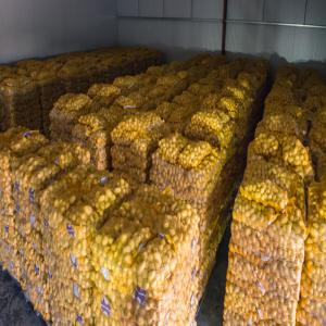  Export Pomme De Terre - fruits et légumes nous somme une entreprise commerciale privée ,  on exporte de la pomme de terre vers le danemark ,  on envisage de cibler d'autres pays dans la zone européenne ,  merci de nous contacter pour plus de détails .