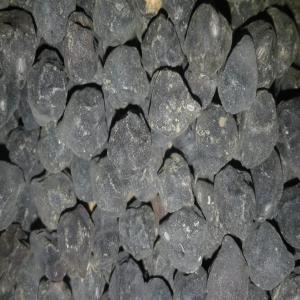  Pois Chiche Noir - céréales pois chiche noir,  cultivé en agriculture raisonnée en terre gasconne. pour plus d'informations n'hésitez pas à me contacter. 
