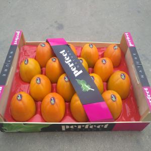  Compagne Kaki 2010-2020 - fruits et légumes bonjour &agrave; tout le monde --je cherche des importateurs,  gorisiste et distributeurs pour l'achat de fruit ( kaki) variete persimon ( rojo brillante) rouge brillant ) origine de espagne,  extra qualite --produit doux avec un pourcentage de brix tr&egrave;s &eacute;lev&eacute;,  bien trait&eacute; 