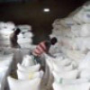  Ventes De Céréales De Toutes Sortes - céréales farine d'amidon de manioc,  vente de céréales de toutes sortes à l'étranger,  maïs,  soja,  arachides,  mil,  sésame,  gari,  etc...; aussi nous sommes dans le transport de marchandises et de biens