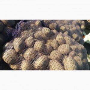  Pommes De Terre - fruits et légumes je vais vendre des pommes de terre de diff&eacute;rentes qualit&eacute;s du champ de 2019,  une r&eacute;colte du producteur d'excellente qualit&eacute; disponible dans un entrep&ocirc;t de pommes de terre de diff&eacute;rentes qualit&eacute;s--calibre 5 7 8 9+ disponible &agrave; la vente dans un en