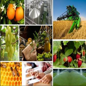  Bureau D'études De Projets - conseil et formation bureau d'études de projets agricoles et agro industriels avec plus de 25 ans d'expérience.--etudes hydrauliques--etudes ces--études d'impacts sur l'environnement.--études de faisabilité.--études technico-économiques.--études de rentabilit&eacut