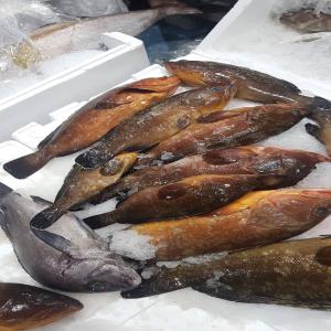  Exportations Produits De La Mer - poissons you are an importer..you are a wholesaler or restaurant...you need fish from senegal then...we are we area.  all types of seafood products... from the atlantic coast... call us whatsapp or email us... our company is reputed 1--grouper...dentex. rassecasse calmar octopus 