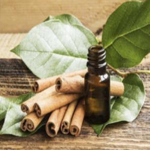  L'huile De Cannelle Feuille Écorce - huiles description du produit--l'huile de cannelle a été connue depuis des temps immémoriaux et a sa propre place dans l'histoire de la médecine et de la cuisine. c'est l'écorce de la cannelle (cinnamomum cassia,  cinnamomum zeylanicum). avec son origine en inde et ceylan 