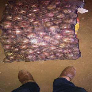  Vente Des Ognions Et Pomme De Terre - fruits et légumes je suis a la recherche des clients pour l'achat des fruits et légumes( pomme, ognions, pomme de terre, clémentines)--livraison aux pays d'afrique------
