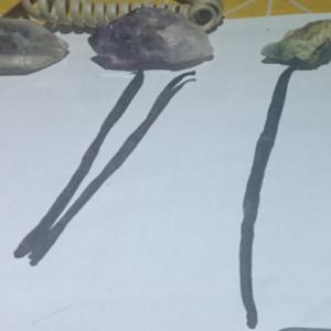  Vanille Recolte 2018 Noie De Muscade, Cannel Gra - autres à la recherche de client --on a ---vanille recolte 2018 -1200kg/ 16+ 300kg--noie de muscade de madagascar 150kg--cannelle graté 5à6tone/semaine ----et à ceux qui aimerais crée une entreprise/société à madagascar on peut vous aidez en cré