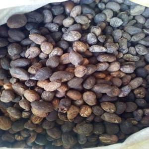  Noix De Karité - fruits secs et graines grillées je cherche des acheteurs de noix de karité dont les stocks sont disponibles au burkina faso.--si vous etes intéressés veuillez me contacter pour plus de détails--cordialement 