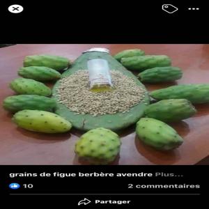  Graine De Figue De Barbarie - fruits secs et graines grillées nous sommes producteur des graines de figue de barbarie,  et nous avons actuellement 1tonne disponible--nous sommes à votre disposition--