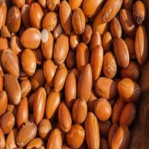  Noix De Karité - fruits secs et graines grillées nous mettons en vente de noix de karité en quantité industrielle à vil prix.il s'agit de plus de 100tonnes.livraison possible à la demande