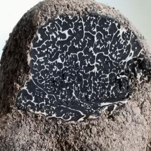  Truffes D'hiver -  yeast fungus nous envoyons de la chine partout en europe des truffes noires d'hiver freches ou seches.--provide top quality truffle from china , we never and wont supply low quality truffle , if you need low quality and cheaper truffle , we cant help you .--if you need top quality truffle , we would be your good bus