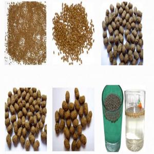  Aliment Granulé Flottant Pour Poissons - poissons nous sommes une entreprise bas&eacute;e au cameroun sp&eacute;cialis&eacute;e dans la production d'aliments granul&eacute;s,  extrud&eacute;s,  flottants pour poissons (clarias,  tilapias, carpes...) nous avons des formules standards,  mais nous pouvons aussi personnaliser les formules (le client nous en