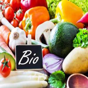  Fruits Et Legumes Biologique Maroc - fruits et légumes tomates / poivrons / courgettes - biologique.--région agadir maroc.--entre octobre et mai .--travail par programme.----conteneur complet .--transport international.----paiement - 50% a la demande/ 50% avant départ .----- biologique