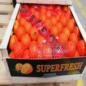  Export Vegetables Fruits - fruits and vegetables hello dears,  is now the season for orange variety clementine in morocco. please contact us for your requirements