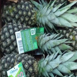  Vente D'ananas - fruits secs et graines grillées bonjour chers membres ,  nous disposons d'une tr&egrave;s bonne qualit&eacute; d'ananas de bonne cayenne . nous cherchons des acheteurs s&eacute;rieux pour la vente .--nb - interm&eacute;diaire s'abstenir --