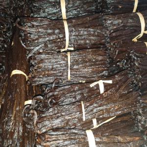  Vente Vanille De Madagascar - épices aromates vanille de bonne qualité,  directe auprès des producteurs et des professionnels.--prix direct producteurs,  préparateurs,  exportateurs. --nous contacter pour plus de détails.