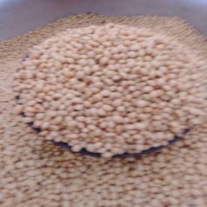  Soja Bio Et Conventionel Vendre - fruits secs et graines grillées bonjour nous avons en vente au togo 4000 tn de soja bio pour la consommation animale,  2000 tn de soja bio pour la  consommation humaine et 2000 tn de soja conventionnel &agrave; bon prix. 