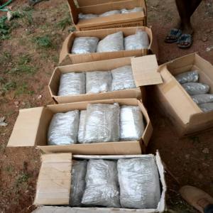  Concombres De Mer - poissons je suis sur un gros projet au maroc et je recherche un fournisseur qui peut me livrer 400kg de concombres de mer &agrave; sdv cameroun( douala ) avant mardi au plus tard. j'acheterai chaque kg &agrave; 100  autrement dit je payerai les 400kg de concombres de mer &agrave; 40, 000  incha allah. --