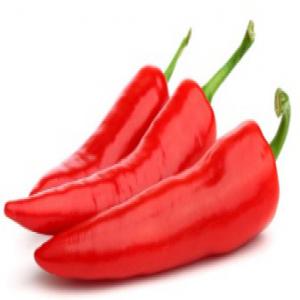  Fresh Chilli Pepper - fruits and vegetables we are exporter of fruit and vegetables from morocco .--we are ready now to supply all kind of fruit and vegetables by air or by sea .--actualy we are working this products ---tomatos--cherry tomatos--green beans--pepper--onion--cucumber--carrot--eggplant--pomegranate--avocado--lemon--beetroot--stra