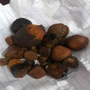  Ox Cow Gallstones Disponible Best Qualiter - métaux boeuf naturel calculs (bézoards,  niuhuang) (seulement bien séché) à vendre------la plus grande demande est pour les pierres avec les caractéristiques suivantes ------ couleur orange dorée jaune ;--- pierres à faible poids spécifique ;--- grande