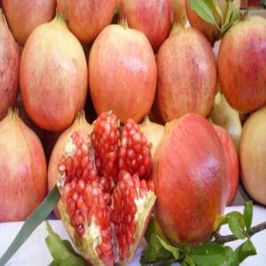  Grenades De La Tunisie - fruits et légumes les grenades sont tr&egrave;s cultiv&eacute;es dans le sud de la tunisie (oasis c&ocirc;ti&egrave;re). vous pouvez le trouver dans l'oasis occidentale,  dans la r&eacute;gion de kairouan et dans certains vergers du nord (zaghouan,  bizerte).--&agrave; gab&egrave;s (sud de la tunisie),  la production de