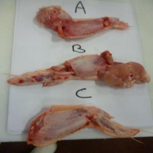  Ailes De Poulets Poulets Entiers Congelés - viandes et oeufs bonjour----nous avons de disponible en congelé direct producteur------25 tonnes d'ailes de poulet grade b prix exw italy 0.75€ le kilo----50 tonnes de poulets entiers  poids 1.2 kg et 1.3 kg à 1.35€ le kilo départ abattoir italie----sauf vente entretemps et stocks disponibles