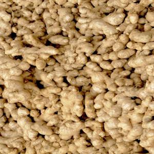  Huile Essentielle De Gingembre - huiles nom botanique- zingiber officinalis --partie de la plante- rhizome--m&eacute;thode d'extraction- distillation &agrave; la vapeur----origine- b&eacute;nin--culture- familiale--couleur- jaune pale--point &eacute;clair- 65&deg;c----conservation - &agrave; l'abri de la lumi&egrave;re----composition chim