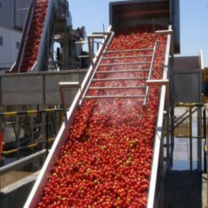  Culture Tomate - fruits et légumes pour le fonctionnement de notre industrie de tomate concentré.  nous cherchons une entreprise spécialisée dans l'amenagement moderne de la culture de tomate pour industrie .veiller nous présenter votre offre. pas sérieux s'abtenir. 