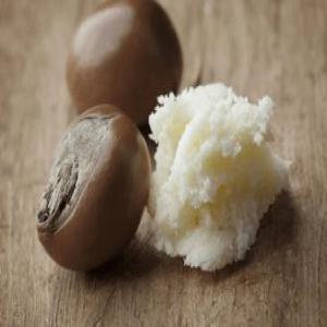  Recherche Acheteurs Huiles Et Beurres - matiere vegetale notre société basée au pays-bas recherche des clients intéressés par du beurre et huile pur et non raffiné - karité,  mangue,  baobab,  coco,  cacao,  avocat,  palmiste,  etc. (origine côte d’ivoire). --produits pour usage ou préparation ou usag