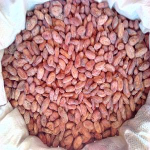  Caco Beans From Madagascar - coffee cocoa tea product description name- sambirano n° 1 cocoa beans --crop- 2019 --season- all the year and peak period june-july,  october-november --packing- new jute bags of 65 kilos --rate of humidity- very dry cocoa,  lower or more equal rate of humidity is --between 6,  5 % to 7, 5% --origin- ambanja-madagas