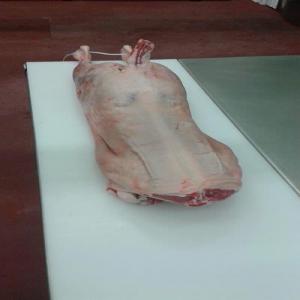  Agneau.- Jambe D'agneau, Entier Avec Os. - viandes et oeufs vente directe de l'abattoir d'aigneau,  brocker en spain,  avec certification halal,  pour toutr l'europe certificatifc.--direct sale of the lamb slautherhouse spain brocker,  whith halal certification,  for all of europe ifc certificate.