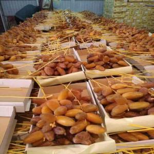  Dattes Tunisiennes - fruits et légumes c'est la saison des dattes,  nous vous offrons des dattes  deglet ennour  du sud tunisien ( branchées,  standards et conditionnées) de bonne qualité avec des prix très intéressants. veuillez réserver vos besoins,  nous vous garantissons un meilleur rapport qual