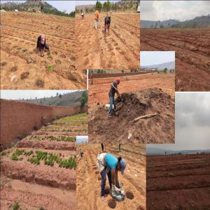  Producteur De Piment Pili De Madagascar Bio - épices aromates producteur de piment pili sur ambatomirahavavy à 25 km ouest d'antananarivo,  avec 45.000 pieds de piments sur un terrain de 2ha production attendue à partir du mois d'avril 2020