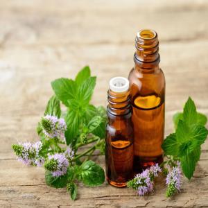 Cherche Des Client Ou Partenariat - huiles nous sommes une société de fabrication des plantes aromatiques et médicinales et vente des huiles essentiels au maroc, --on cherche des clients ou partenaires à l'intérieur ou à l'extérieur du pays (maroc).--nos produits sont bio (sauvage).