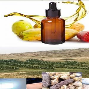  Huile De Figue De Barbarie Disponible - huiles nous disposons d'un produit hautement qualitatif l'huile de pépin de figue de barbarie --cultive dans la région de sidi fredj à souk ahras --nous pouvons vour fournir les quantités demmandé à partir de 1l --nous sommes à votre disposition pour vous  f