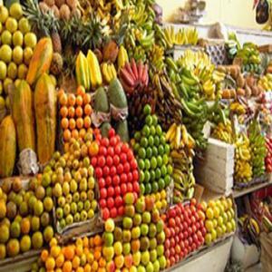  Financement Pour 2ha De Culture Legumes/fruit - Investissement capitaux business angel propose.--notre projet consiste à vous proposer le financement d'un champ de légumes au choix de 1 à 2 ha hectares à 10.000€ avec un devis complet de ---- location du terrain --- semences --- pépinière --- préparation du terrain --- pro