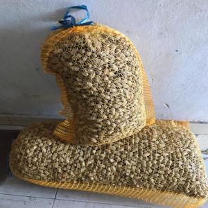  Vente D'arachides Fraiches En Sac De Kg Et 10kg - fruits et légumes livraison fob aéroport de dakar aibd prix au kg 1, 5€/kgsac filet de 5 kg ou 10 kg----- prix arachides - poids net 800kg net par palette de 80 sacs prix au kg 1, 5€/kg,   prix fob = € 1 200, 00 ----- prix arachides - poids net 3000kg net,  prix au kg 1, 5€/kg,   prix fob = € 4 500, 00 ----nous sommes