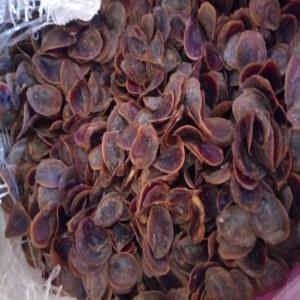  Coquillage Crustacé - coquillage crustacé je vends des coquillage crustacé et des produits venant de fruits de mer comme les (pagne yokhoss guedj beure kethiakhet et autre) en gros si besoin contactez moi 