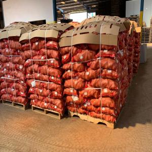  Partenariat Pour Export Fruits Legumes - fruits et légumes dans le secteur de la production et distribution depuis 30 ans,  on a su ce démarquer de la concurrence par la qualité de nos produits de fruits et légumes et aux prix compétitifs ! nous disposons de plusieurs entrepôts frigorifique et effectuons divers procéd