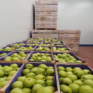  Pommes - fruits et légumes vente des pommes - différent types disponible parmi lesquelles la pink lady et la granny smith--tout les calibres sont disponibles--origine roumanie