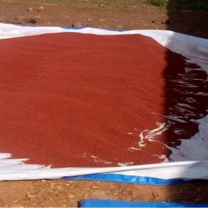  Roucou De Bonne Qualité - épices aromates nous disposons de tr&egrave;s grandes quantit&eacute;s de roucou plus de 500 tonnes,  de tr&egrave;s bonnes qualit&eacute;s pour la satisfaction de nos clients.