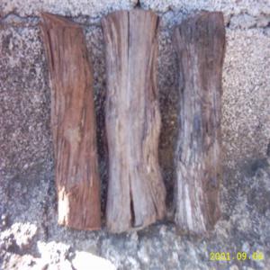  Grapevine Wood Cepas De Viñas Ceps De Vigne - wines we buy in bulk large volumes of grapevine wood,  sawed in pieces of 15 to 18cm long.--purchase by full truckloads 90m3--humidity inside wood < 18%--we are based in belgium and exist since 1997--