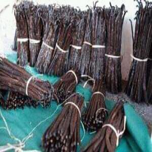  Vente De Vanilles - épices aromates je suis  un collecteur et préparateur de vanille d'andapa ,  région sava de madagascar. actuellement,  je cherche des acheteurs de mes produits - vanille noire de bonne qualité , prix fob 300 euro le kilo , longueur  de 12 à 18 cm , humidité 33% , vanilline 1, 55% je pour